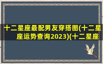 十二星座最配男友穿搭图(十二星座运势查询2023)(十二星座穿什么衣服最好看 男)